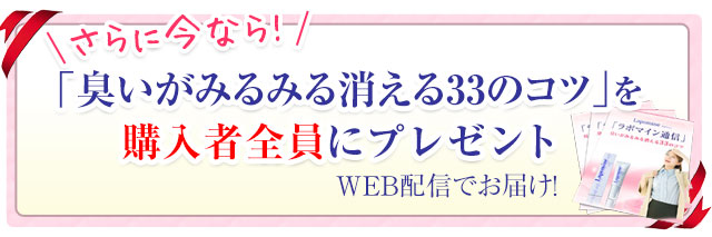 さらに今ならプレゼント