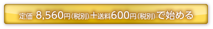 定価で1だけ使ってみる